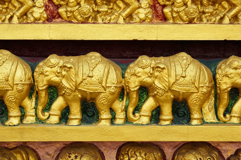 Photograph by Arulmurugan P