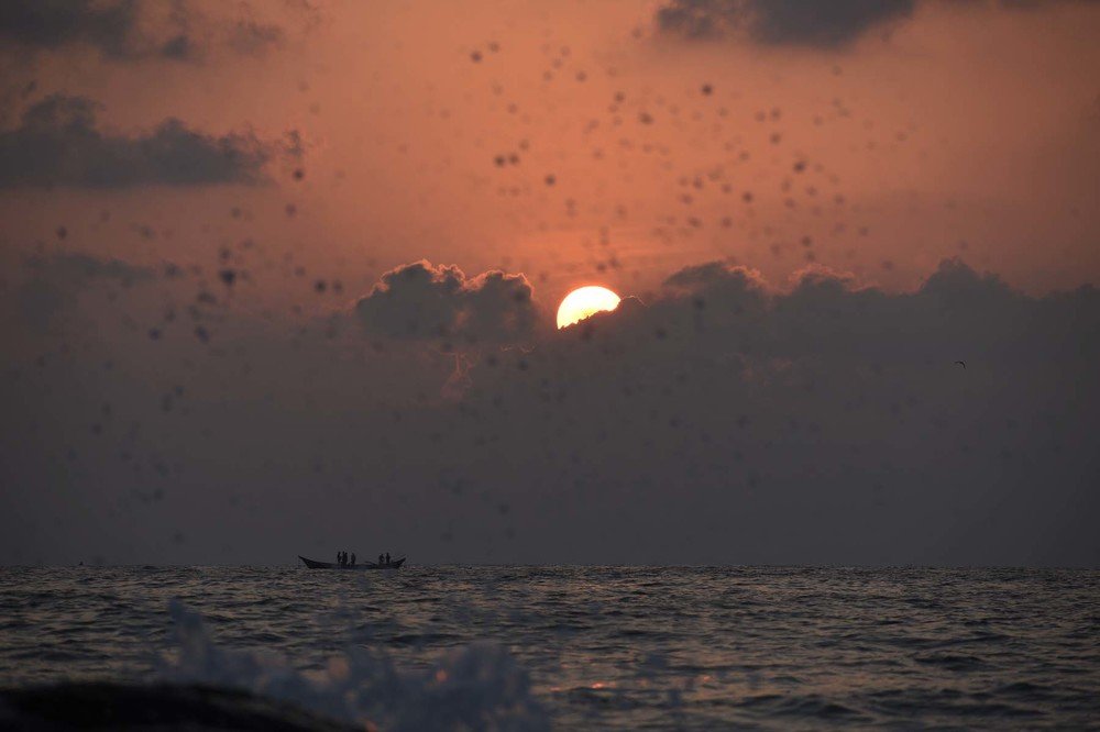 Photograph by Arulmurugan P