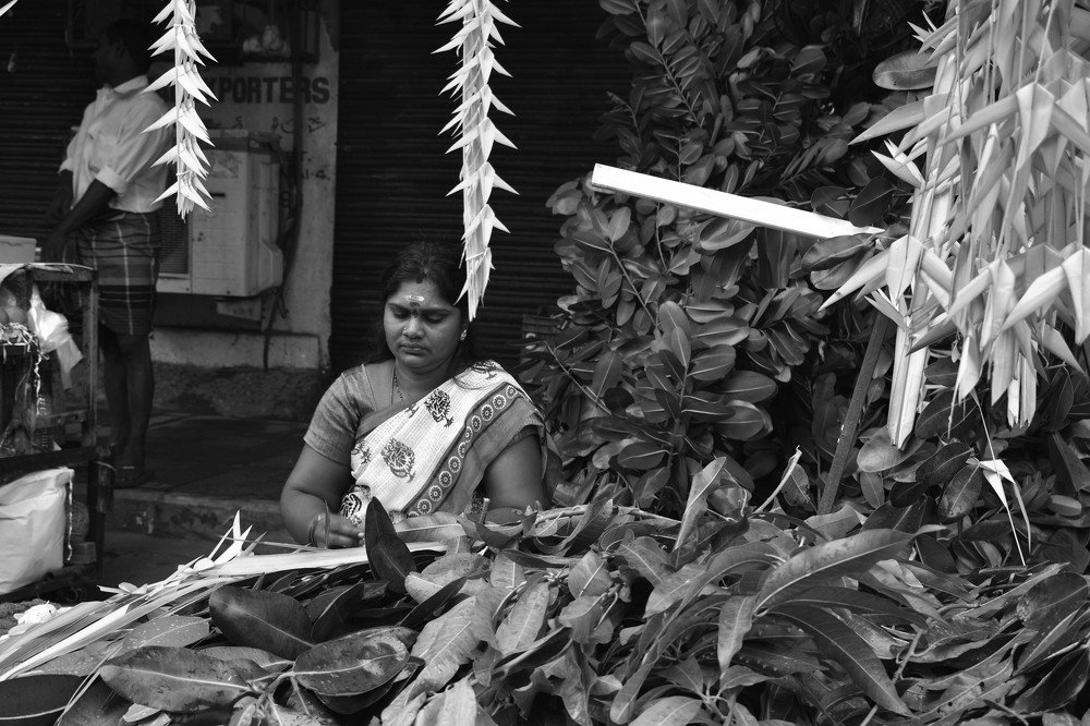 Photograph by Arulmurugan P