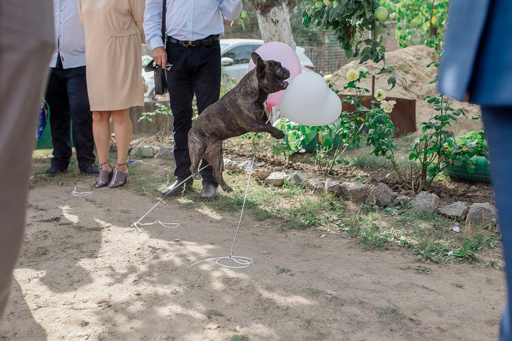 Photograph by Мариша Дядюк