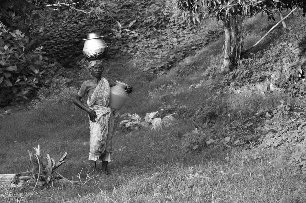 Photograph by Arulmurugan P