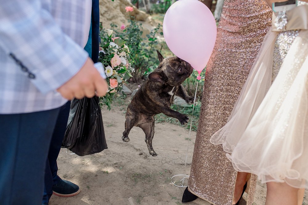 Photograph by Мариша Дядюк