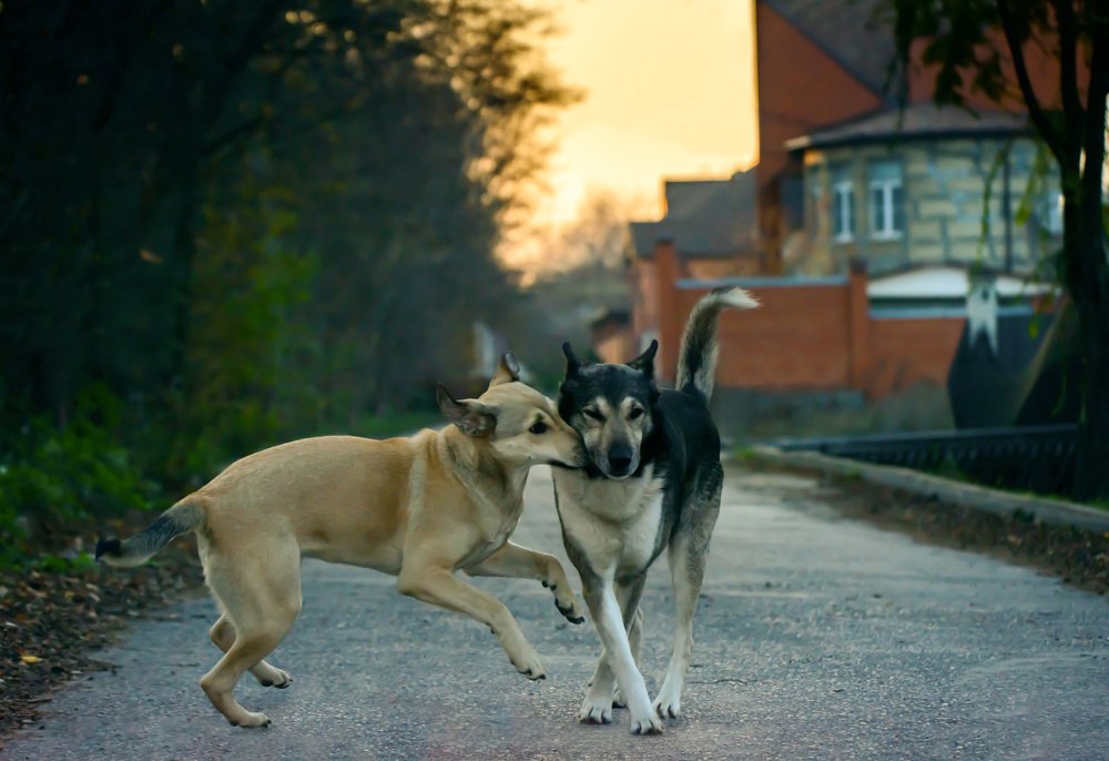 Photograph by Rimma Volchenko