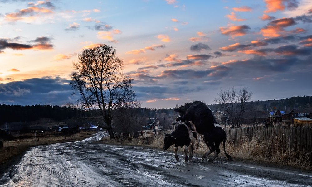 Photograph by Сергей Скоробогатов