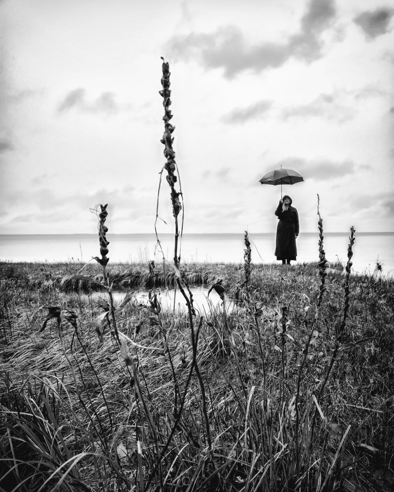 Photograph by Денис Мищук