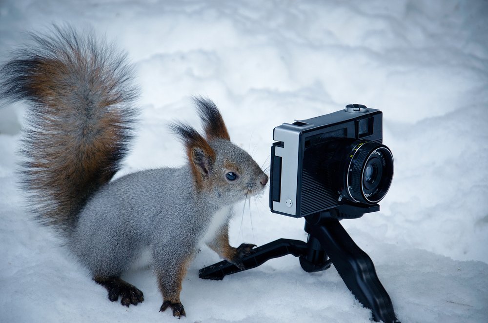 Photograph by Василий Рогачёв
