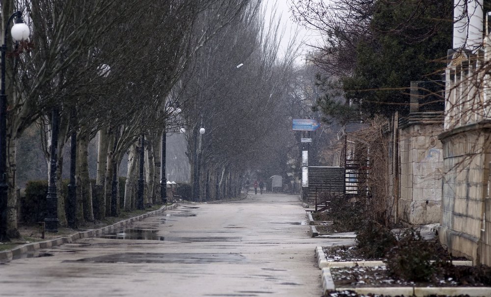 Photograph by Вадим Стрельцов