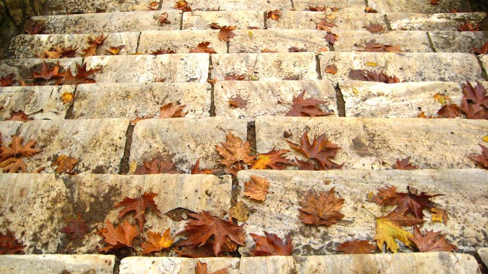 Осень на пороге.