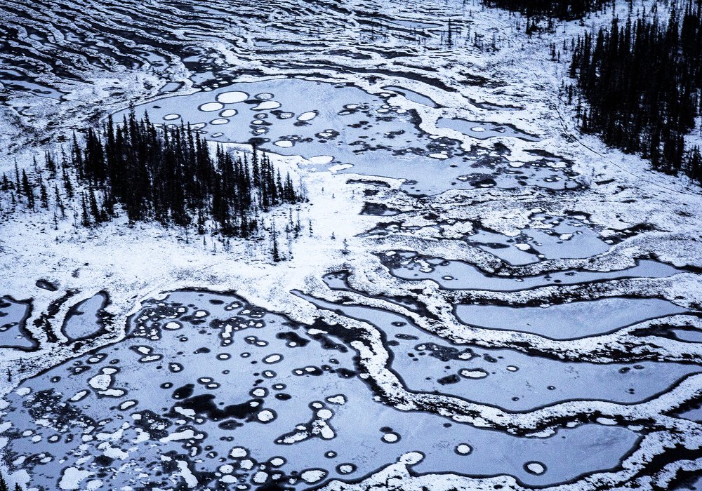 Photograph by Елена