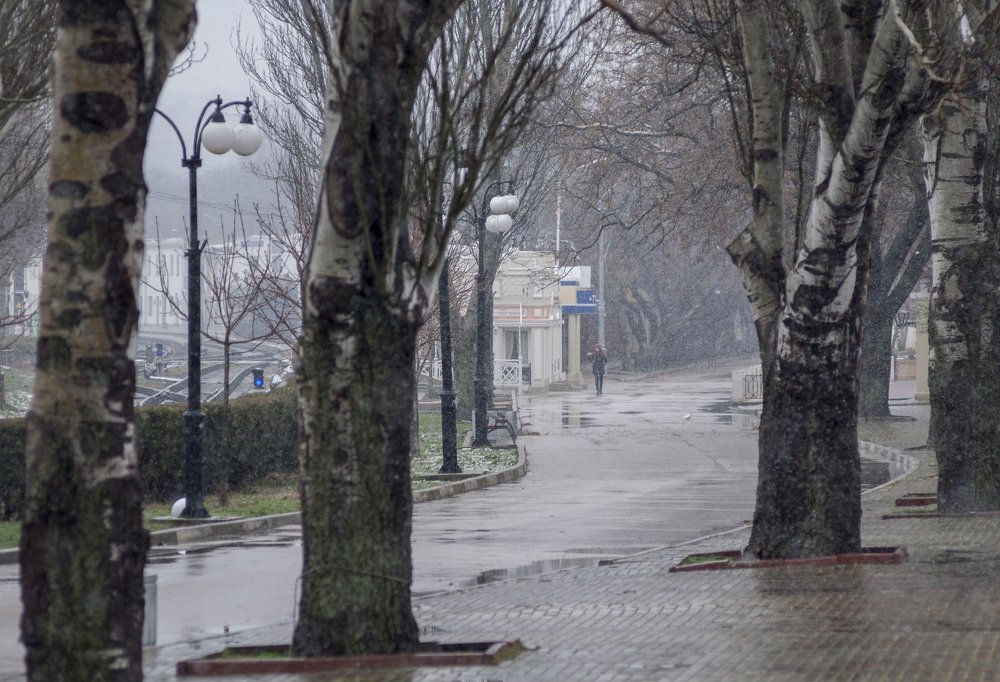 Photograph by Вадим Стрельцов