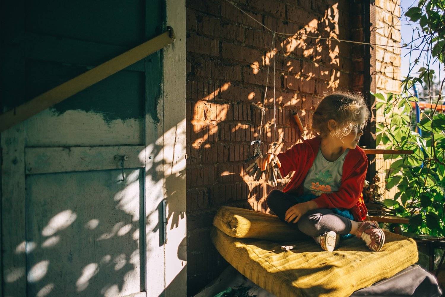 Фотография #3878950