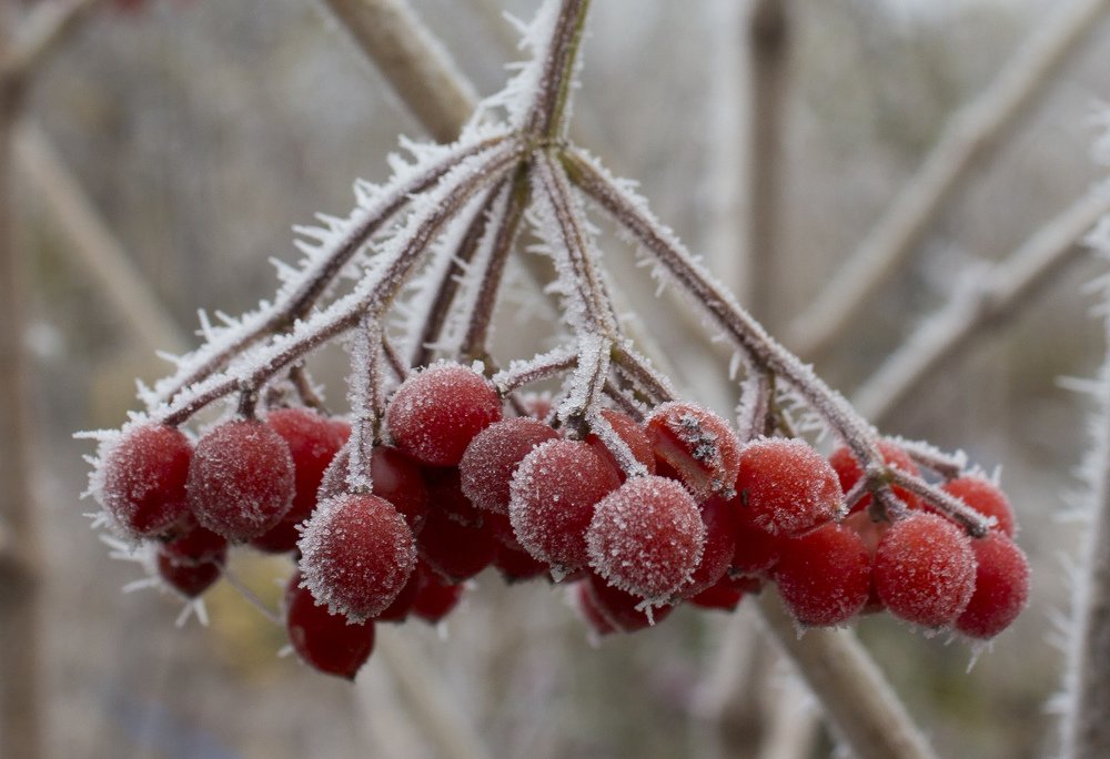 Photograph by Елена Демочкина