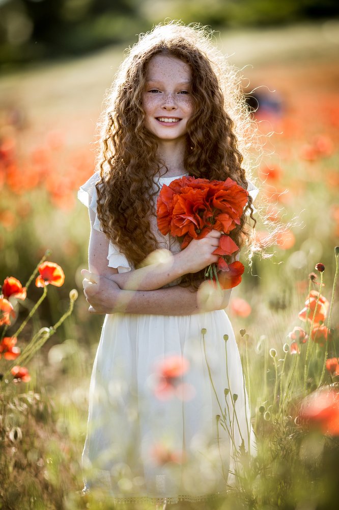 Алиса и маковое поле