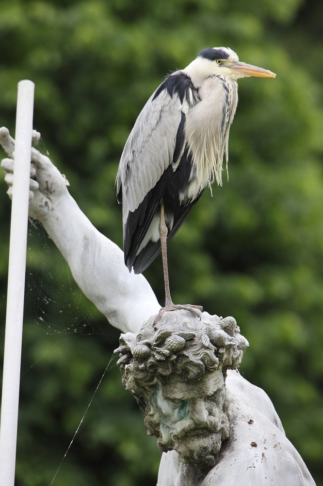 Photograph by Сергей Ножнин