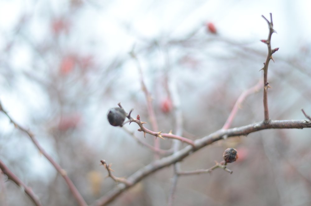 Photograph by Евгений Вознюк