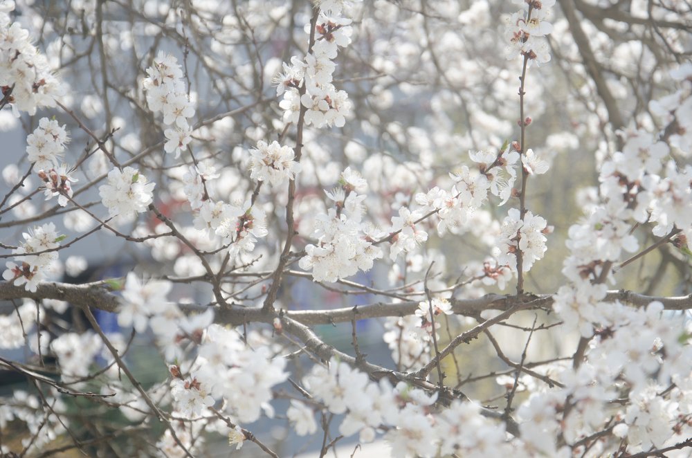 Photograph by Евгений Вознюк