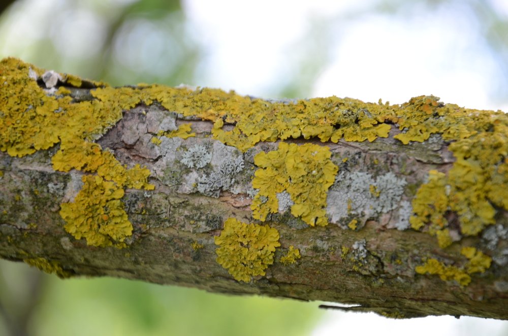 Photograph by Евгений Вознюк