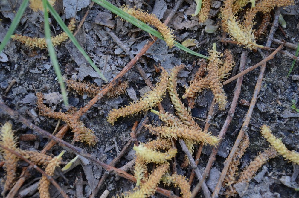 Photograph by Евгений Вознюк