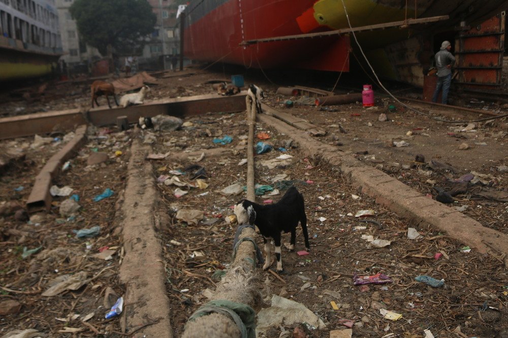 Photograph by  Jubair Ahmed