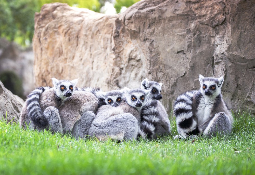 Photograph by Karen Khachaturyants