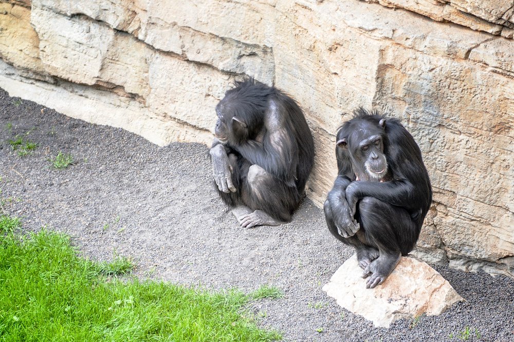 Photograph by Karen Khachaturyants