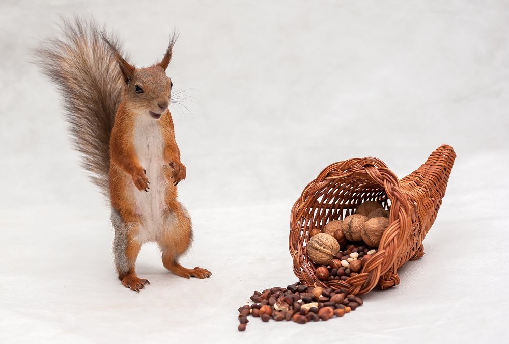 Photograph by Ольга Дядченко