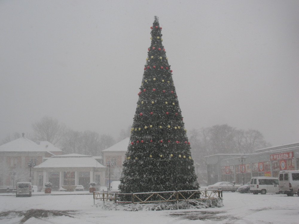 Фотография автора Нина Калинина