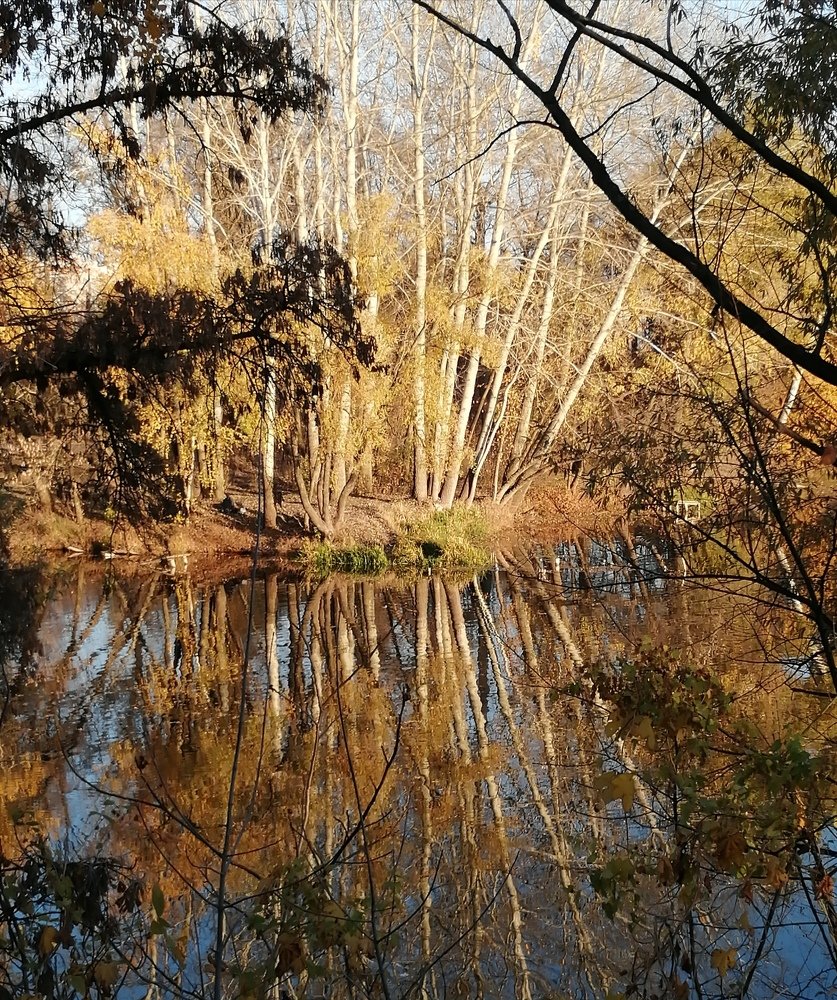 Фотография автора Алла Роденко