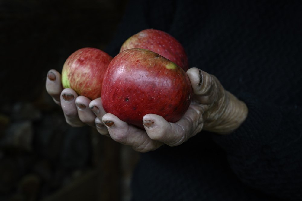 Photograph by Gabriel Motica