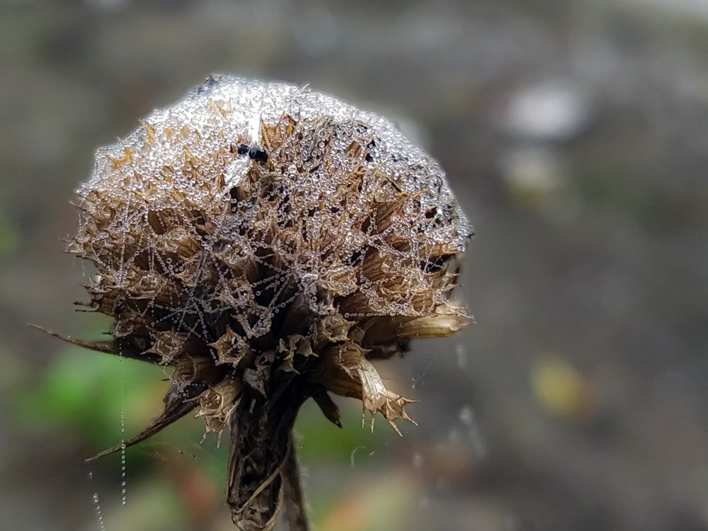 Фотография автора Наталья Алексеева