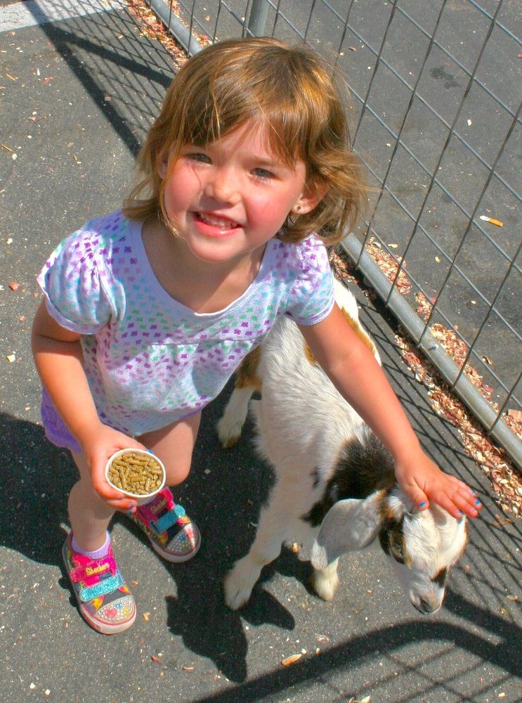 Photograph by Robert Lugibihl