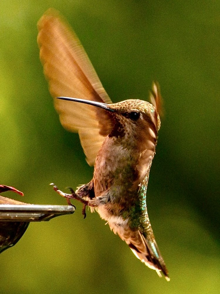 Photograph by Robert Lugibihl