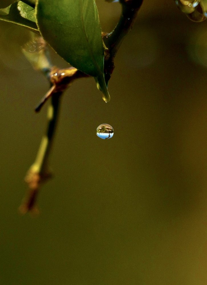 Photograph by Robert Lugibihl