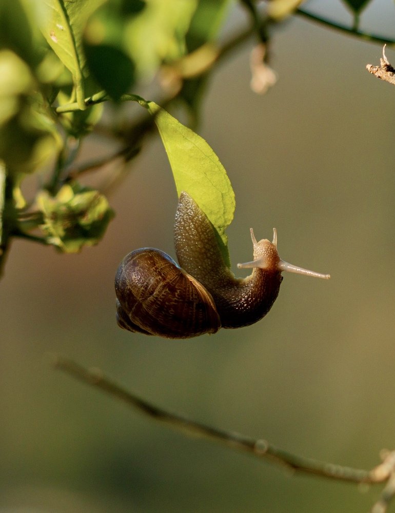 Photograph by Robert Lugibihl