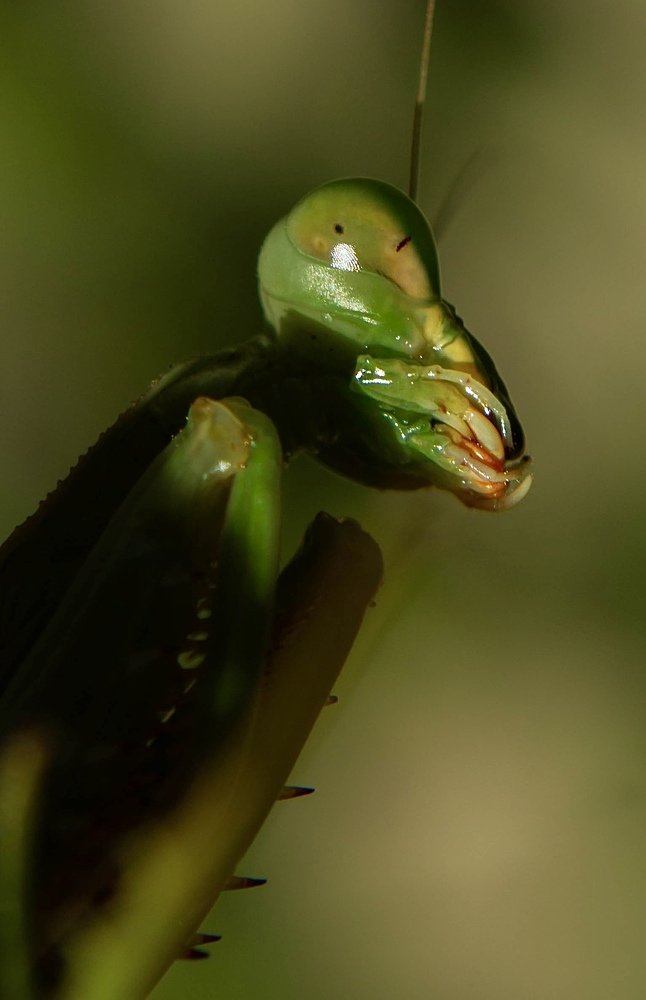 Photograph by Robert Lugibihl