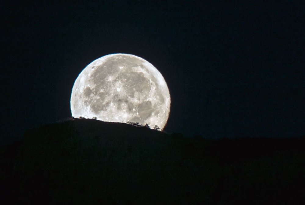 Photograph by Николай Ковтун