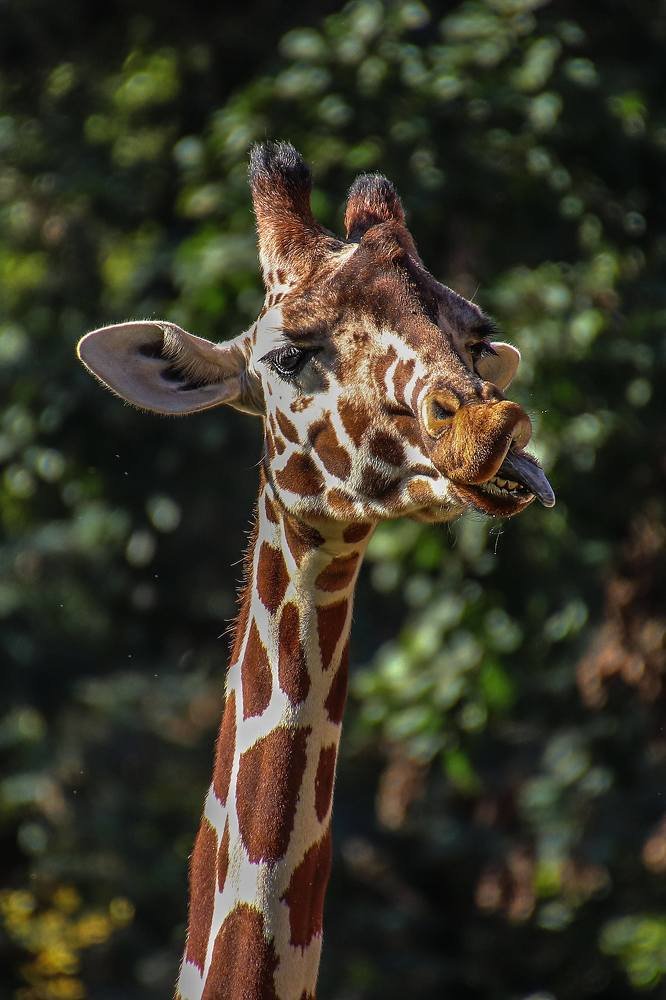 Photograph by Galina Rashap