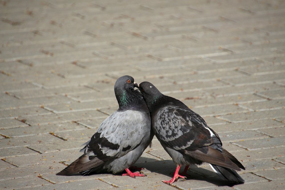Photograph by Sergey Pavlov