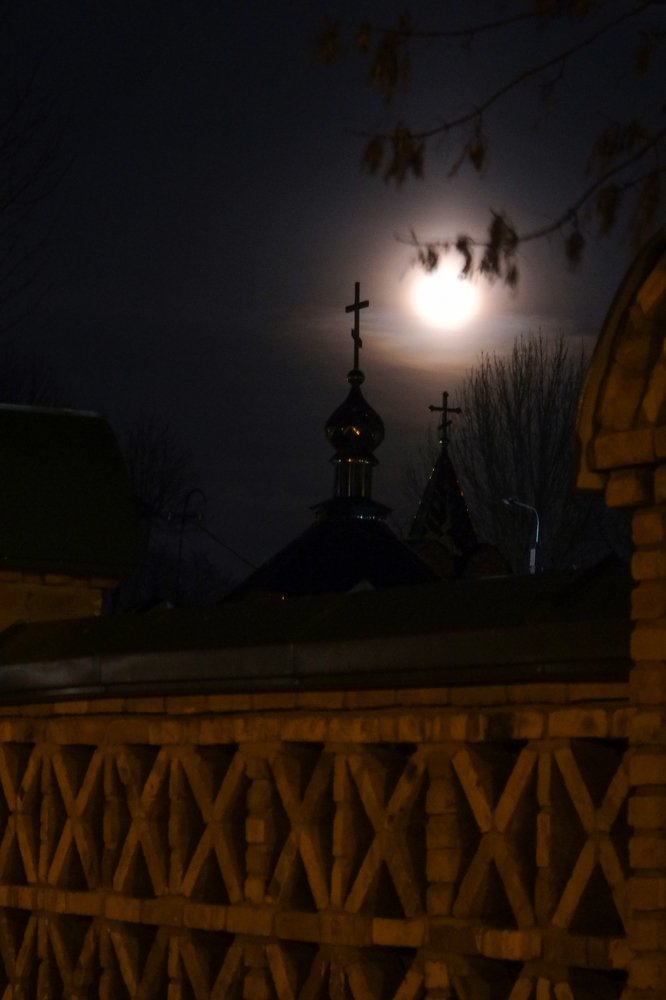 Photograph by Наталья Манусова