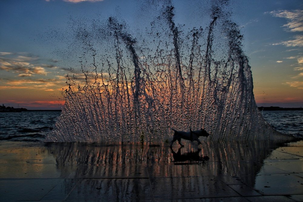 Photograph by Наталья Гайдукевич