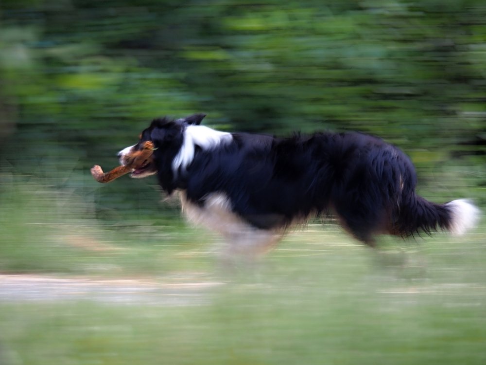 Photograph by Ilona Hromadkova