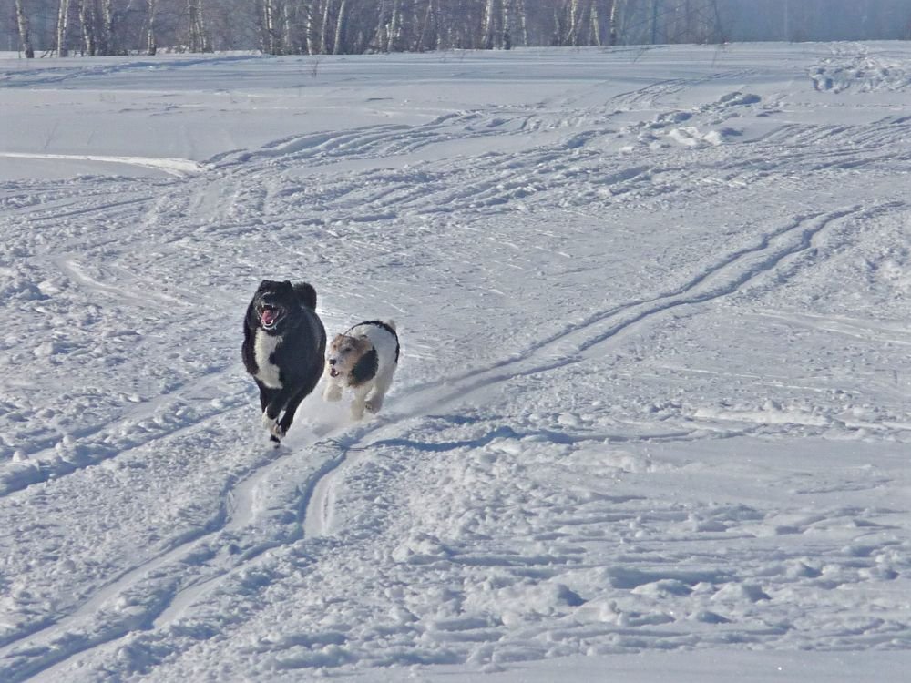 Photo #3879821