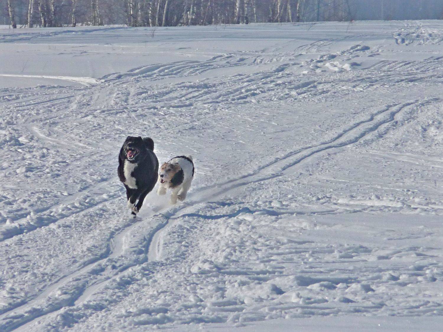Photo #3879821