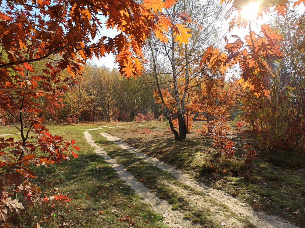 Photograph by Гарик Кислый