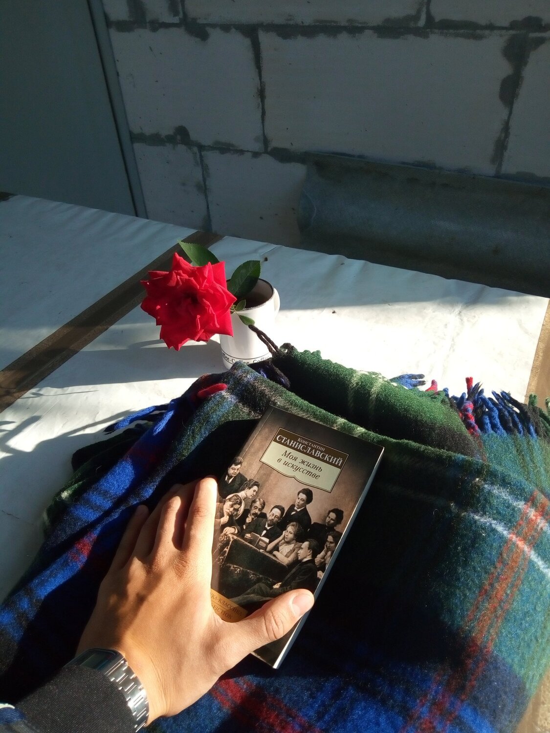 Photo #3879826
