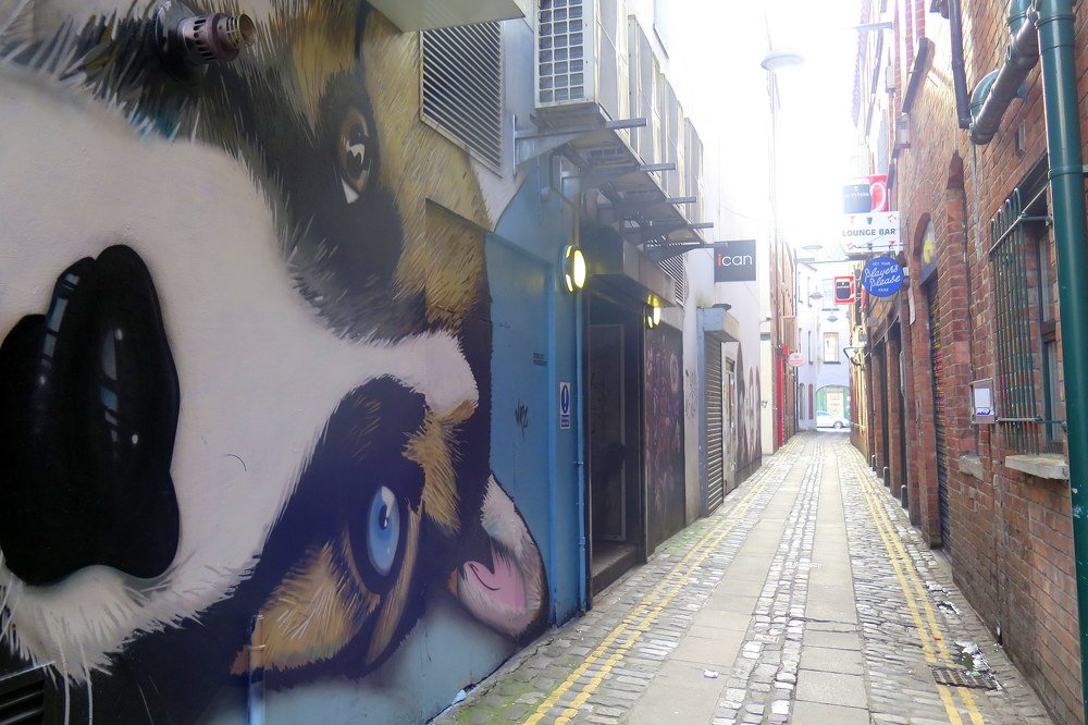 Фотография автора Ольга Завадилика