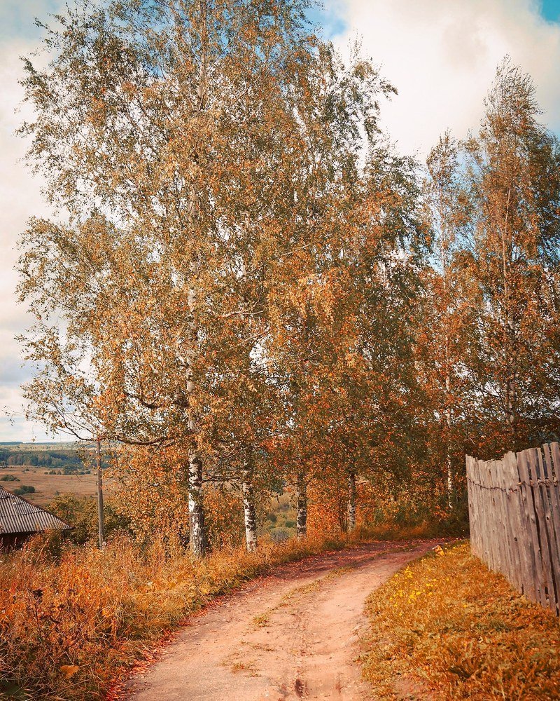 Осенний пейзаж