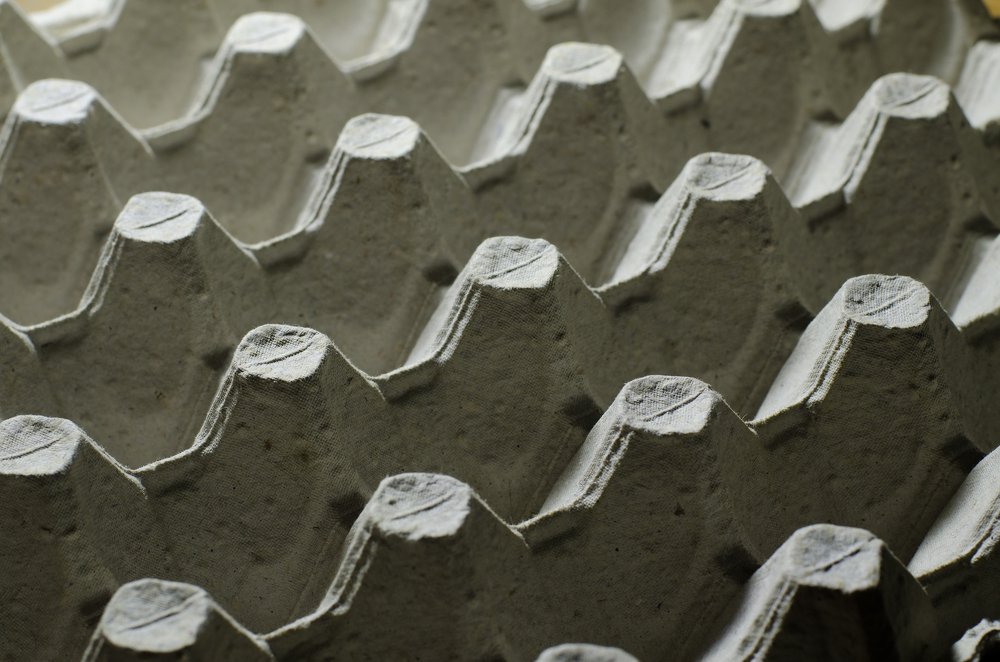 Photograph by Анна Айбетова