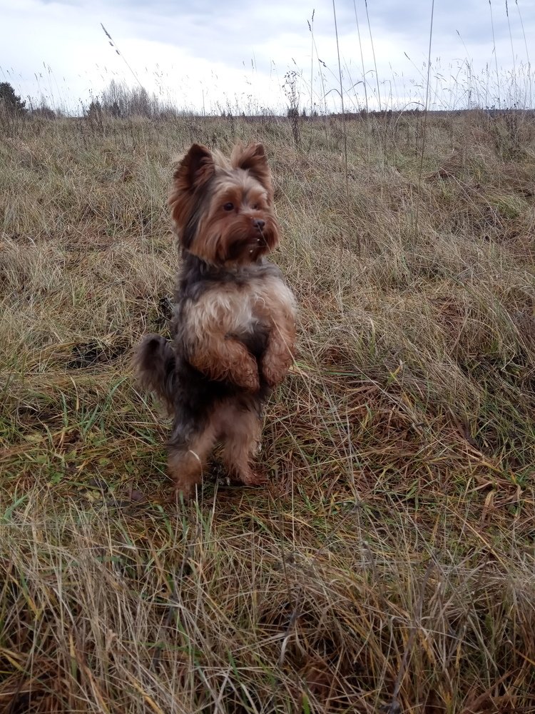 Photograph by Любовь Шаврина