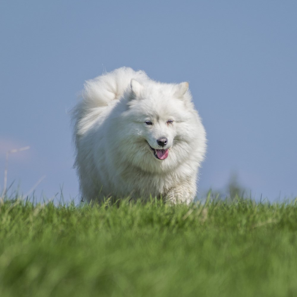 Photograph by Александр Пономарёв